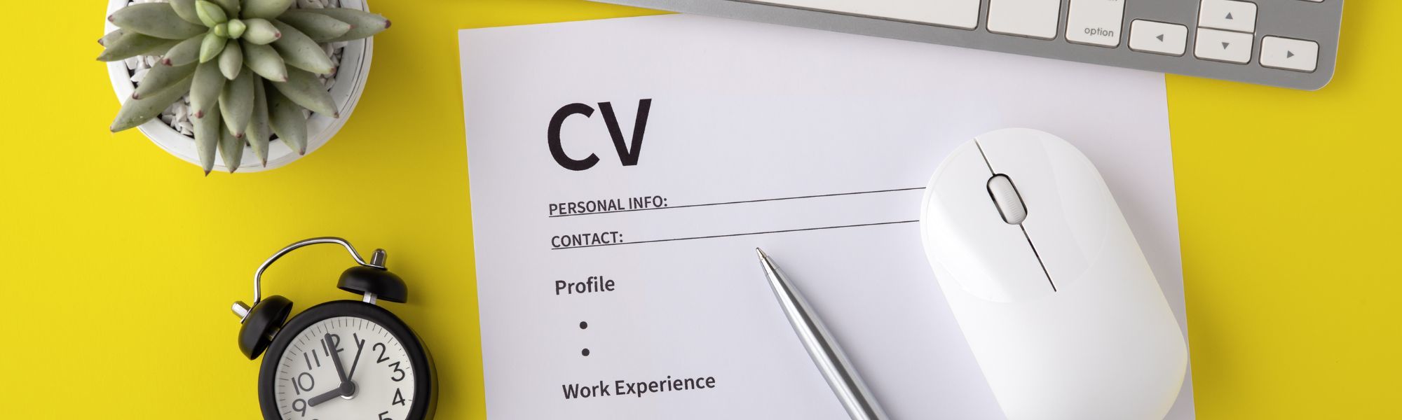 Infographic Quick Guide: Creating A CV For Your Recruitment Career Post Uni